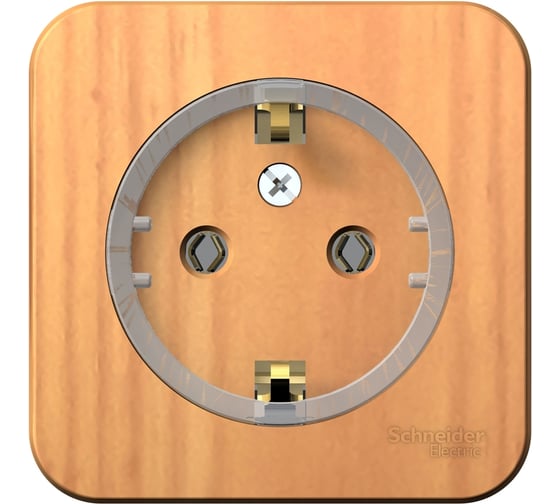 Розетка Systeme Electric (Schneider Electric) Blanca наруж Ясень с/з без шторок, тонкая, 16А, 250В SE BLNRA110115 12 шт 13606481198171 1