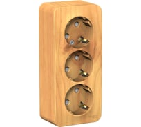 Розетка Systeme Electric (Schneider Electric) Blanca наруж Ясень 3-ая с/з со шторками 16А, 250В SE BLNRA011315 5 шт 13606481196719