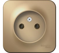 Розетка Systeme Electric (Schneider Electric) Blanca наруж Титан б/з без шторок 16А, 250В SE BLNRA000114 18 шт 13606481332667
