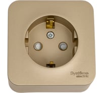 Розетка Systeme Electric (Schneider Electric) Blanca наруж Титан с/з со шторками 16А, 250В SE BLNRA011114 12 шт 13606481332728