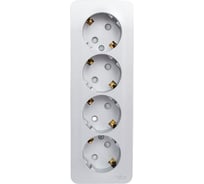 Розетка Systeme Electric (Schneider Electric) BLANCA О/У 4-я с заземл. со шторк. АЛЮМИНИЙ BLNRA011413 4 шт 13606481196993