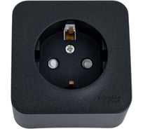 Розетка Systeme Electric (Schneider Electric) Blanca О/У без пласт. Антрацит с/з со шт., 16А BLNRA011106 12 шт 13606481197952