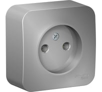 Розетка Systeme Electric (Schneider Electric) Blanca о/у без заземления без шторок, 16а, 250в, алюминий BLNRA000103 18 шт 13606481197808