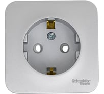 Розетка Systeme Electric (Schneider Electric) Blanca О/У без пласт. Алюминий с/з со шт., 16А BLNRA011103 12 шт 13606481197839