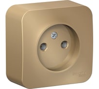 Розетка Systeme Electric (Schneider Electric) Blanca о/у без заземления без шторок, 16а, 250в, титан BLNRA000104 18 шт 13606481332650