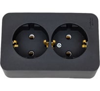 Розетка Systeme Electric (Schneider Electric) BLANCA О/У двойная с заземлением без шторок, АНТРАЦИТ BLNRA010206 8 шт 13606481197983