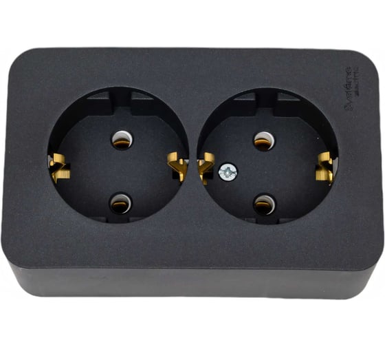 Розетка Systeme Electric (Schneider Electric) BLANCA О/У двойная с заземлением без шторок, АНТРАЦИТ BLNRA010206 8 шт 13606481197983 1