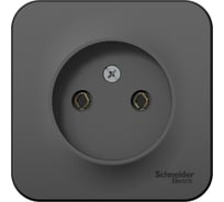 Розетка Systeme Electric (Schneider Electric) BLANCA О/У без заземления без шторок, АНТРАЦИТ BLNRA000106 18 шт 13606481197921