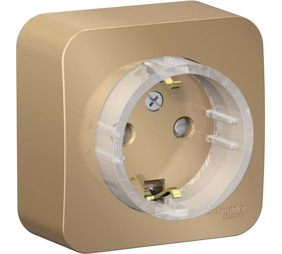 Розетка Systeme Electric (Schneider Electric) BLANCA О/У с заземлением без штор., КОМПАКТ . ТИТАН BLNRA110114 12 шт 13606481332735 1