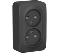 Розетка Systeme Electric (Schneider Electric) Blanca о/у двойная без заземл. со шт. изол.пл.,16а,250в,антрацит BLNRA001216 10 шт 13606481197174