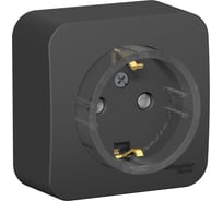 Розетка Systeme Electric (Schneider Electric) Blanca о/у с заземл. со шторк., (компакт) изол.пл 16а, 250в, антрацит BLNRA111116 12 шт 13606481198201