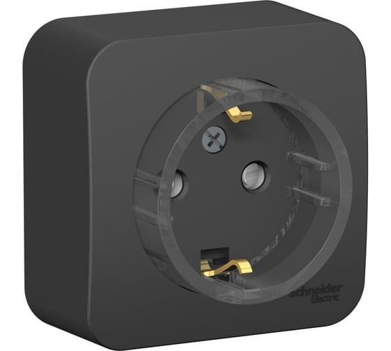 Розетка Systeme Electric (Schneider Electric) Blanca о/у с заземл. со шторк., (компакт) изол.пл 16а, 250в, антрацит BLNRA111116 12 шт 13606481198201 1