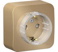 Розетка Systeme Electric (Schneider Electric) Blanca о/у с заземл. со шторк., (компакт) изол.пл 16а, 250в,титан BLNRA111114 12 шт 13606481332742