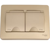 Розетка Systeme Electric (Schneider Electric) Blanca с/у ip44 двойная с заземл. со шторк., с крышками,16а, 250в, титан BLNRS441124 5 шт 13606481280159