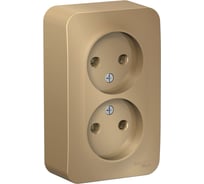 Розетка Systeme Electric (Schneider Electric) Blanca о/у двойная без заземления без штор., 16а, 250в, титан BLNRA000204 10 шт 13606481332759