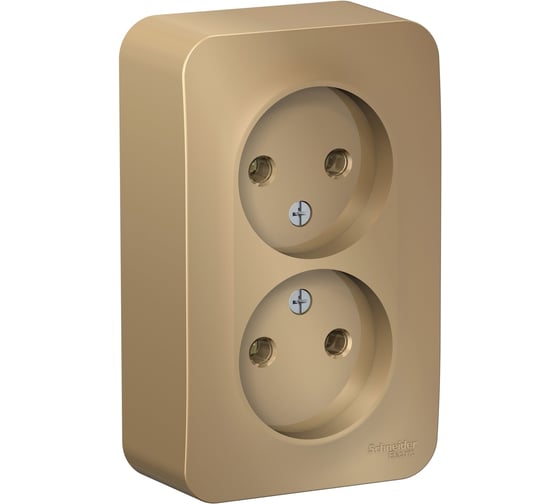 Розетка Systeme Electric (Schneider Electric) Blanca о/у двойная без заземления без штор., 16а, 250в, титан BLNRA000204 10 шт 13606481332759 1