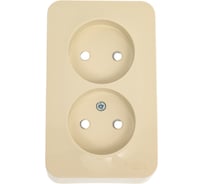 Розетка Systeme Electric (Schneider Electric) Blanca о/у двойная без заземл. со шт. изол.пл.,16а, 250в, бежевый BLNRA001217 10 шт 13606489776296