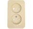 Розетка Systeme Electric (Schneider Electric) Blanca о/у двойная без заземл. со шт. изол.пл.,16а, 250в, бежевый BLNRA001217 10 шт 13606489776296 1