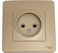Розетка Systeme Electric (Schneider Electric) Blanca с/у без заземления без шторок 16а, 250в, титан BLNRS000014 10 шт 13606481195330