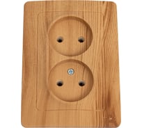 Розетка Systeme Electric (Schneider Electric) BLANCA С/У двойная без заземления без шторок, ЯСЕНЬ BLNRS000025 6 шт 13606481195835