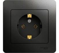 Розетка Systeme Electric (Schneider Electric) Glossa Антрацит с/з, 16А в сборе SE GSL000742 15 шт 13606485436552