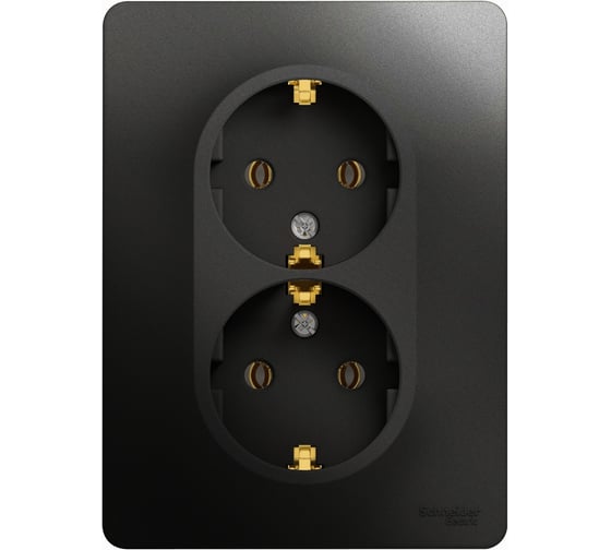 Розетка Systeme Electric (Schneider Electric) Glossa Антрацит 2-ая с/з, 16А в сборе SE GSL000724 10 шт 13606485436460 1
