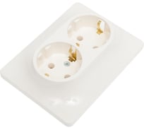 Розетка Systeme Electric (Schneider Electric) Glossa Молочная 2-ая с/з в сборе SE GSL000924 10 шт 13606480982078