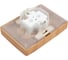 Розетка Systeme Electric (Schneider Electric) Blanca С/У Ясень 2-ая с/з IP44 со шт., 16А BLNRS441125 5 шт 13606481280166 4