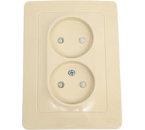 Розетка Systeme Electric (Schneider Electric) Blanca с/у двойная без заземления со шторками, 16а, 250в, бежевый BLNRS000127 6 шт 13606489776104