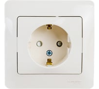 Розетка Systeme Electric (Schneider Electric) 1-м GLOSSA с заземл. защ. шторки беж. SchE GSL000244 15 шт 13606480658232