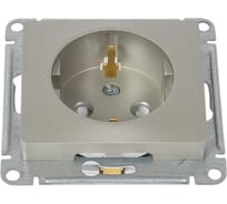 Розетка Systeme Electric (Schneider Electric) Glossa Платина с/з со шторками SE GSL001245 5 шт 53606481208854