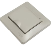 Розетка Systeme Electric (Schneider Electric) Glossa Платина с/з со шторками с крышкой IP20 в сборе SE GSL001246 5 шт 53606481208861