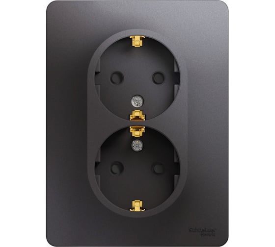 Розетка Systeme Electric (Schneider Electric) Glossa двойная с заземлением со шторками,16а, 250в, в сборе,графит GSL001326 6 шт 53606481209134 1