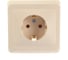 Розетка Systeme Electric (Schneider Electric) 1-м СП Этюд 16А с заземл. крем. PC16-003K 20 шт 4607098941008 3