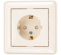 Розетка Systeme Electric (Schneider Electric) 1-м СП W59 16А с заземл. защ. шторки сл. кость SchE RS16-152-28 10 шт 4607050335821