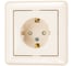 Розетка Systeme Electric (Schneider Electric) 1-м СП W59 16А с заземл. защ. шторки сл. кость SchE RS16-152-28 10 шт 4607050335821 1