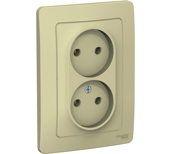 Розетка Systeme Electric (Schneider Electric) 2-м СП Blanca 16А IP20 250В без заземл. без защ. шторок беж. BLNRS000027 6 шт 13606489776098 1