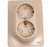 Розетка Systeme Electric (Schneider Electric) 2-м СП Glossa 16А IP20 с заземл. защ. шторки в сборе титан GSL000426 10 шт 13606480659222