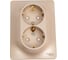 Розетка Systeme Electric (Schneider Electric) 2-м СП Glossa 16А IP20 с заземл. защ. шторки в сборе титан GSL000426 10 шт 13606480659222 1