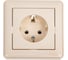 Розетка Systeme Electric (Schneider Electric) 1-м СП W59 16А IP20 с заземл. без защ. шторок сл. кость RS16-154-28 10 шт 13606480981835 1