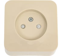 Розетка Systeme Electric Blanca о/у с изол. пласт. бежевый без з/к со шт. 16а BLNRA001117 18 шт 13606489776234