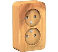 Розетка Systeme Electric Blanca о/у с изол. пласт. ясень 2-ая б/з со шт. 16а,250в BLNRA001215 10 шт 13606481196658