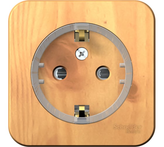 Розетка Systeme Electric Blanca о/у без пласт. ясень с/з со шт., (тонкая), 16а BLNRA111115 12 шт 13606481198164 1