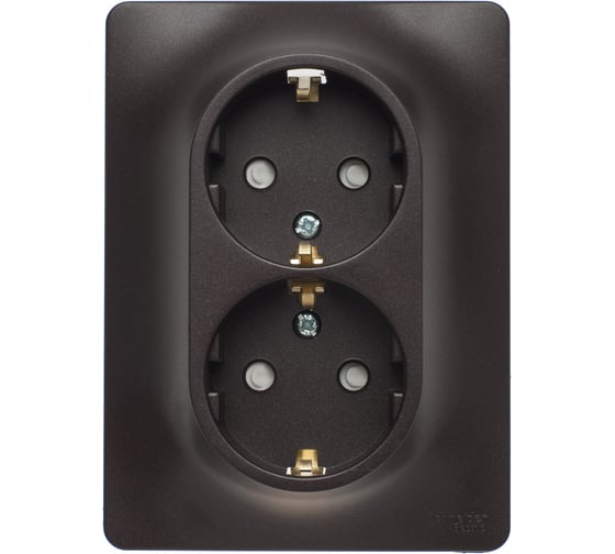 Розетка Systeme Electric (Schneider Electric) 2-м Glossa 16А защ. шторки с заземл. в сборе шоколад GSL000826 6 шт 53606485436949 1