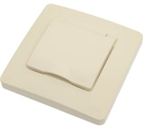 Розетка Systeme Electric Blanca скрытая установка бежевый IP44 с заземляющим контактом, со шторкой, с крышкой, 16А, 250В BLNRS441117 10 шт 4690201022282
