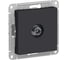 Розетка TV Systeme Electric (Schneider Electric) ATLASDESIGN проходная 4DB, механизм, КАРБОН ATN001092 5 шт 13606489708860 1