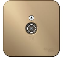 Розетка TV Systeme Electric (Schneider Electric) Blanca наруж Титан, изолир. пластина SE BLNTA000014 18 шт 13606481332940