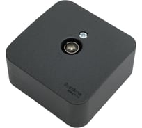 Розетка TV Systeme Electric (Schneider Electric) Blanca наруж Антрацит, изолир. пластина SE BLNTA000016 18 шт 13606481197303