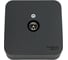 Розетка TV Systeme Electric (Schneider Electric) Blanca наруж Антрацит, изолир. пластина SE BLNTA000016 18 шт 13606481197303 3