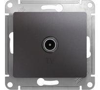 Розетка TV Systeme Electric (Schneider Electric) Glossa Графит оконечная 1DB GSL001391 5 шт 53606481274972